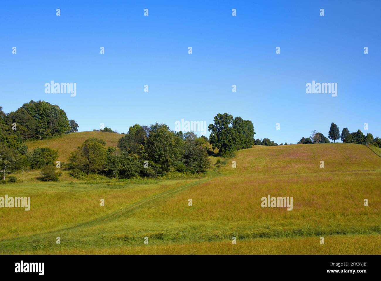 Field road climbs grassy hi-res stock photography and images - Alamy