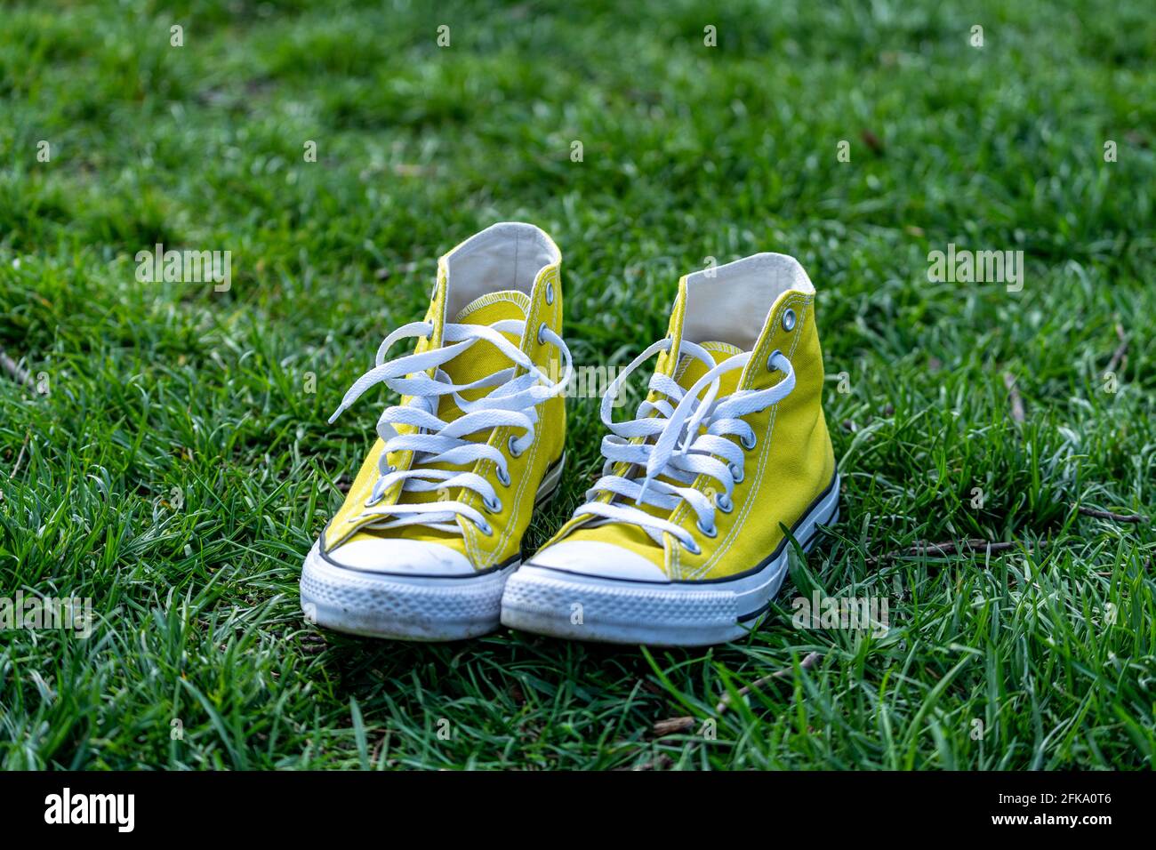 Yellow Chuck Taylor Converse All-Star sneakers on green grass in spring  Stock Photo - Alamy