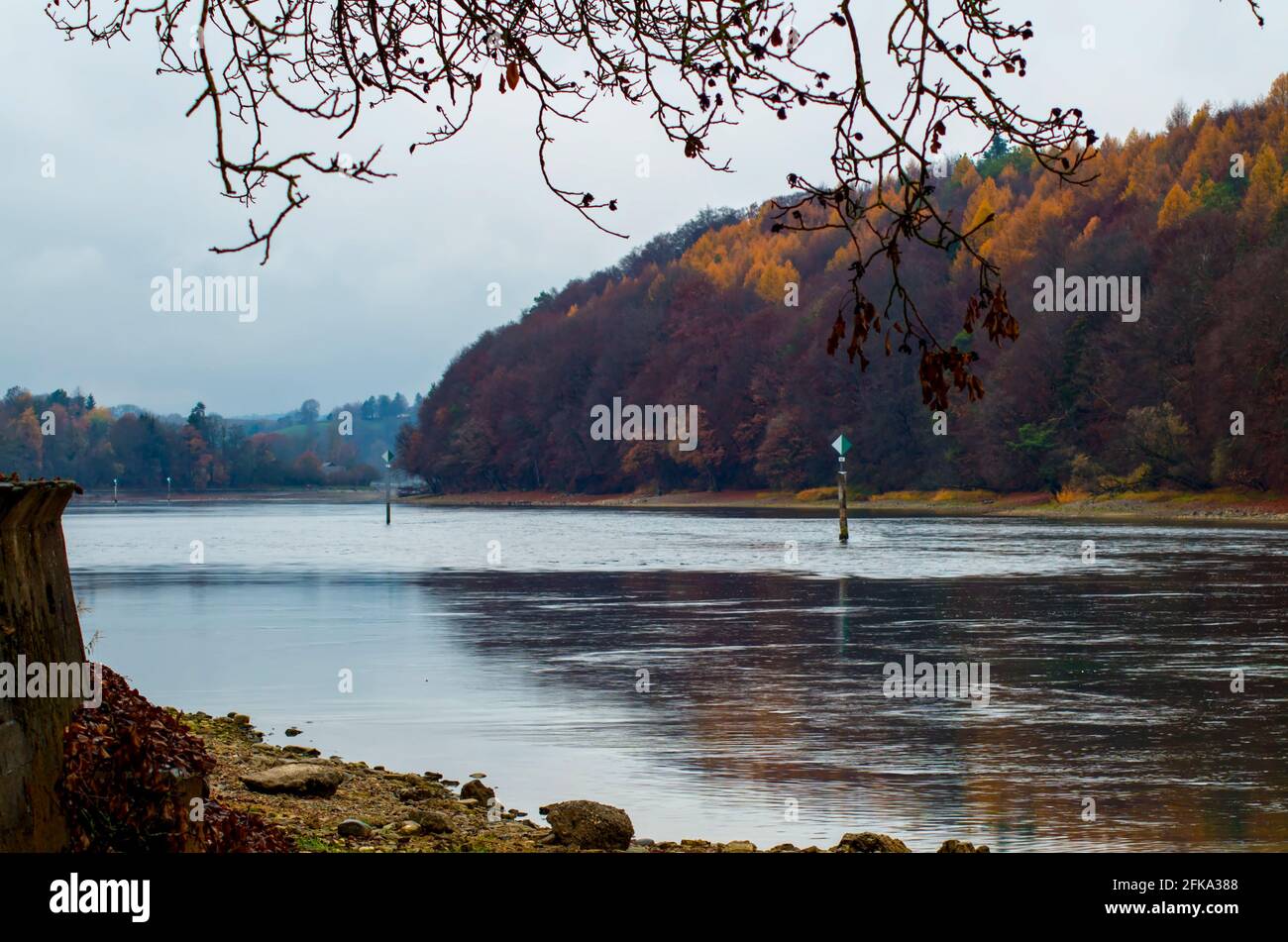 Scenic autumn lake by the forest with colorful foliage Stock Photo - Alamy