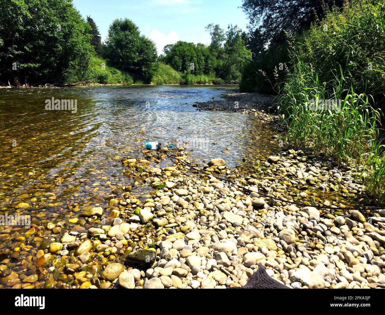 Rocky riverbank in the lush green forest Stock Photo - Alamy