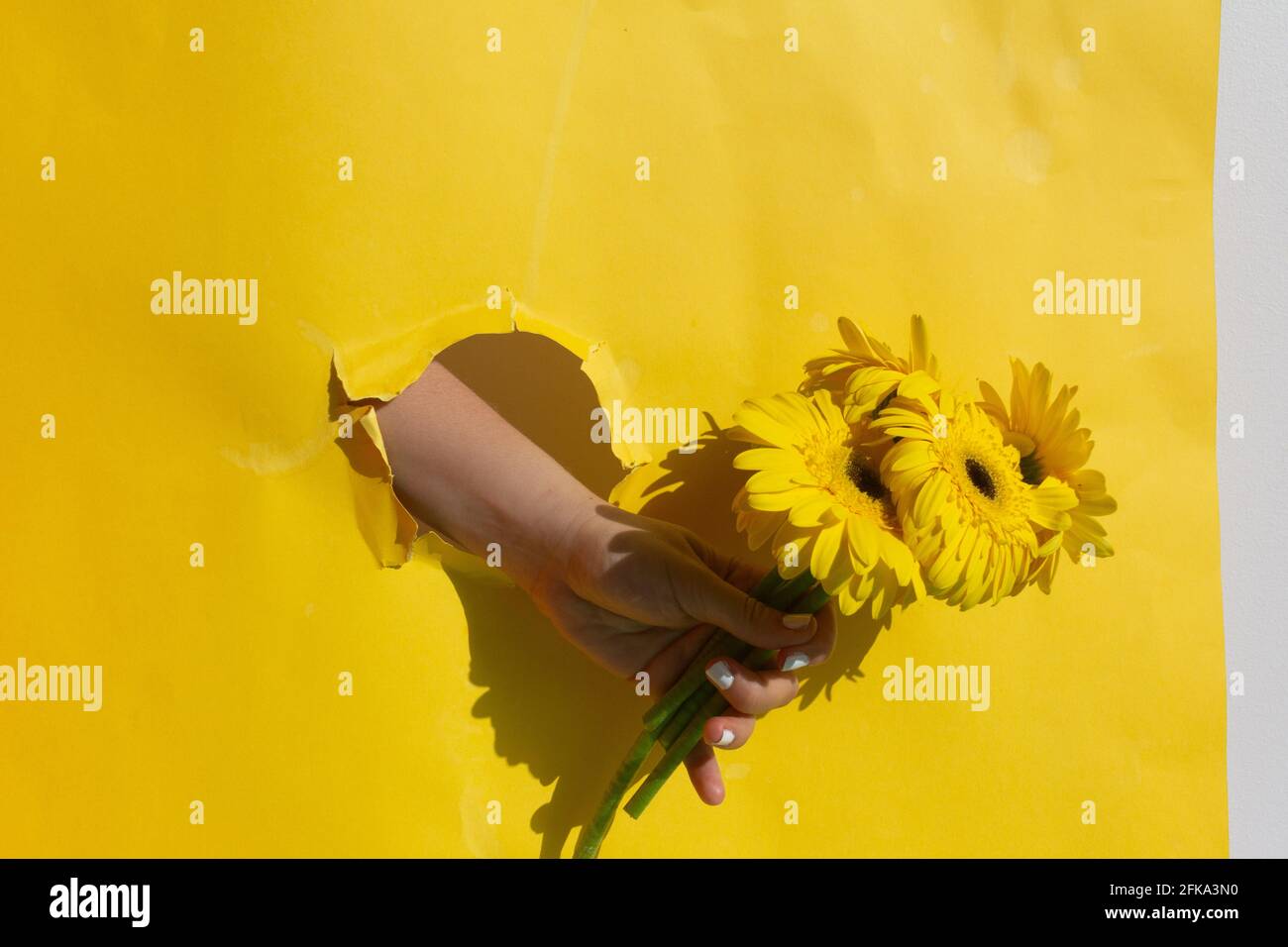 Hand holding bunch flowers hires stock photography and images Alamy