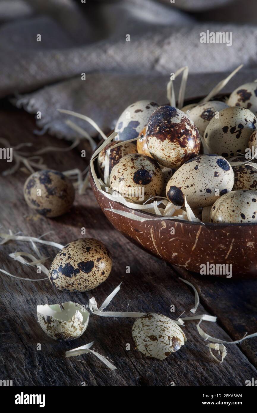 Quail eggs in a rustic setting Stock Photo