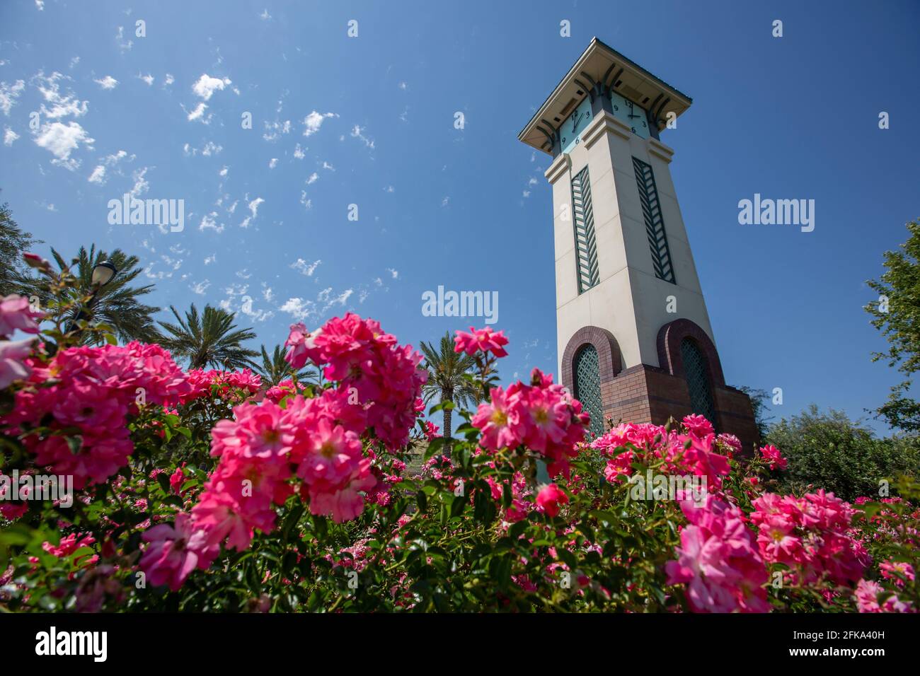 Daytime view of public clock tower downtown Ontario, California, USA. Stock Photo