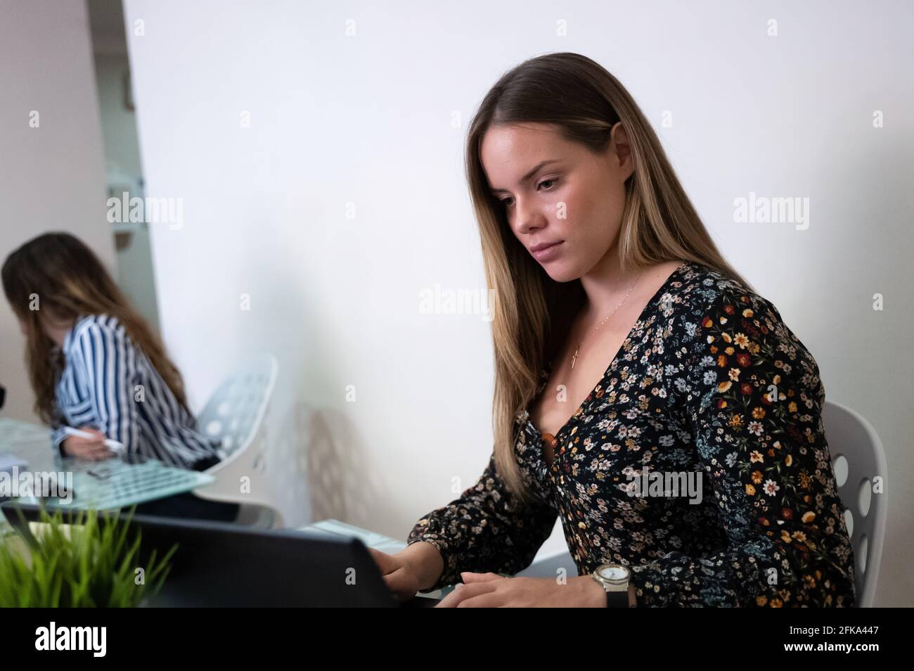 young girl working in the office with a computer Stock Photo - Alamy