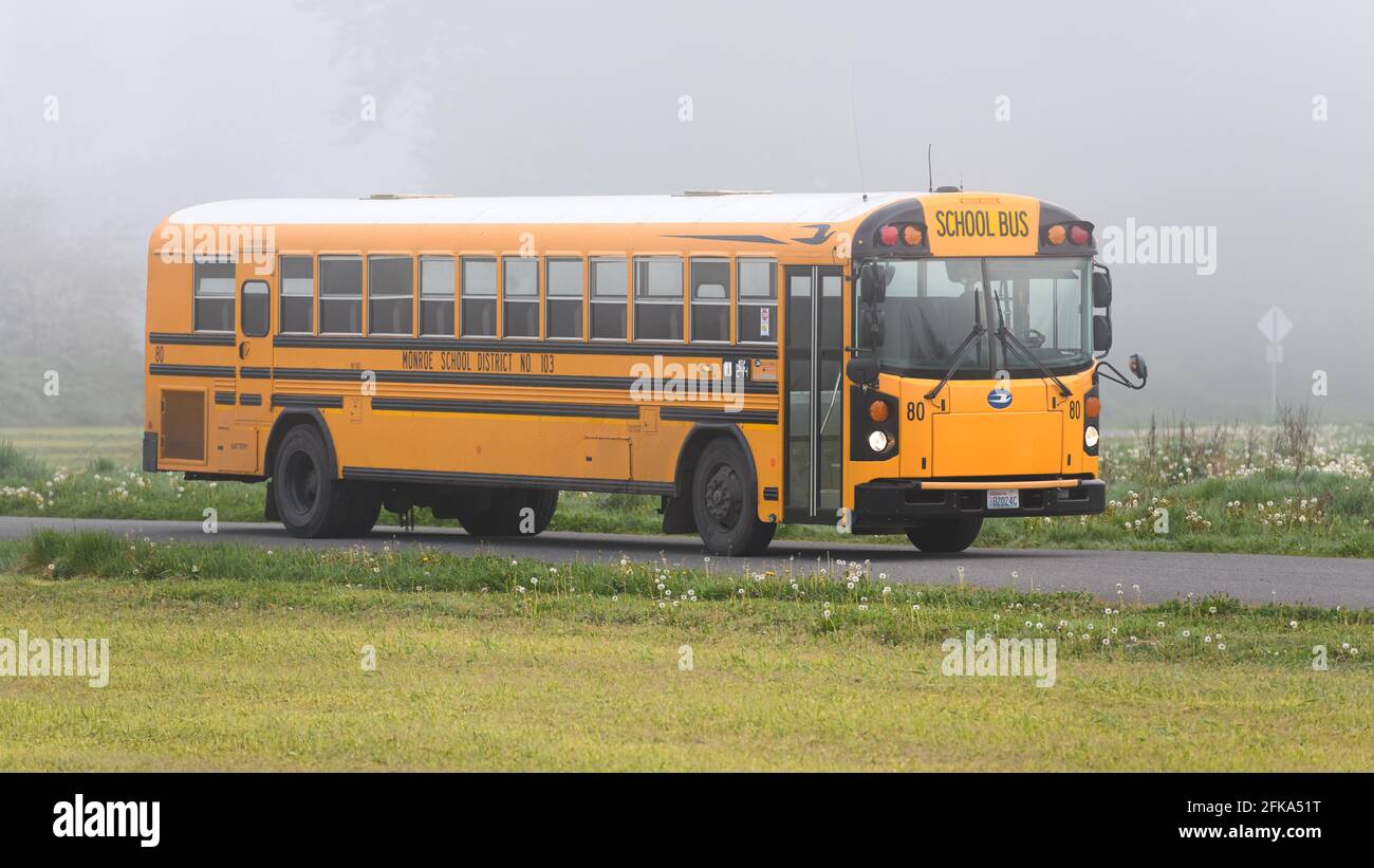 Monroe, WA, USA - April 29, 2021; A Monroe School Bus on a misty American morning in the north end of Snoqualmie Valley farmland, Washington State Stock Photo