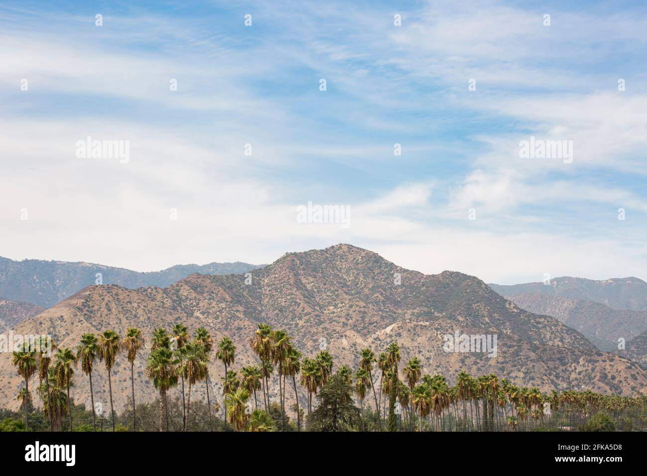 Palm tree and mountain view of Azusa, California, USA. Stock Photo