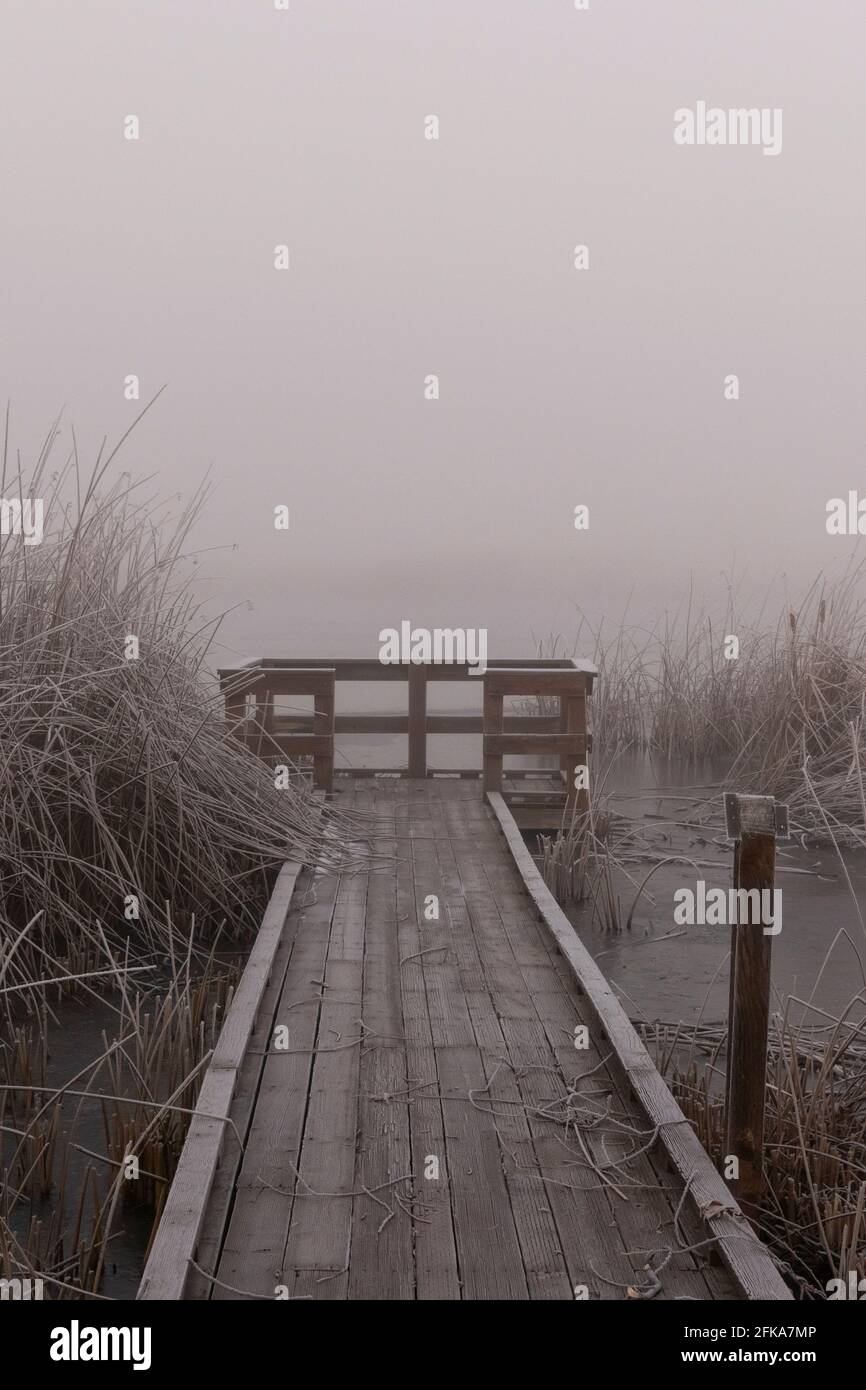 A wildlife viewing dock in the Klamath Wildlife Area in Klamath County, Oregon on a cold foggy winter morning. Stock Photo