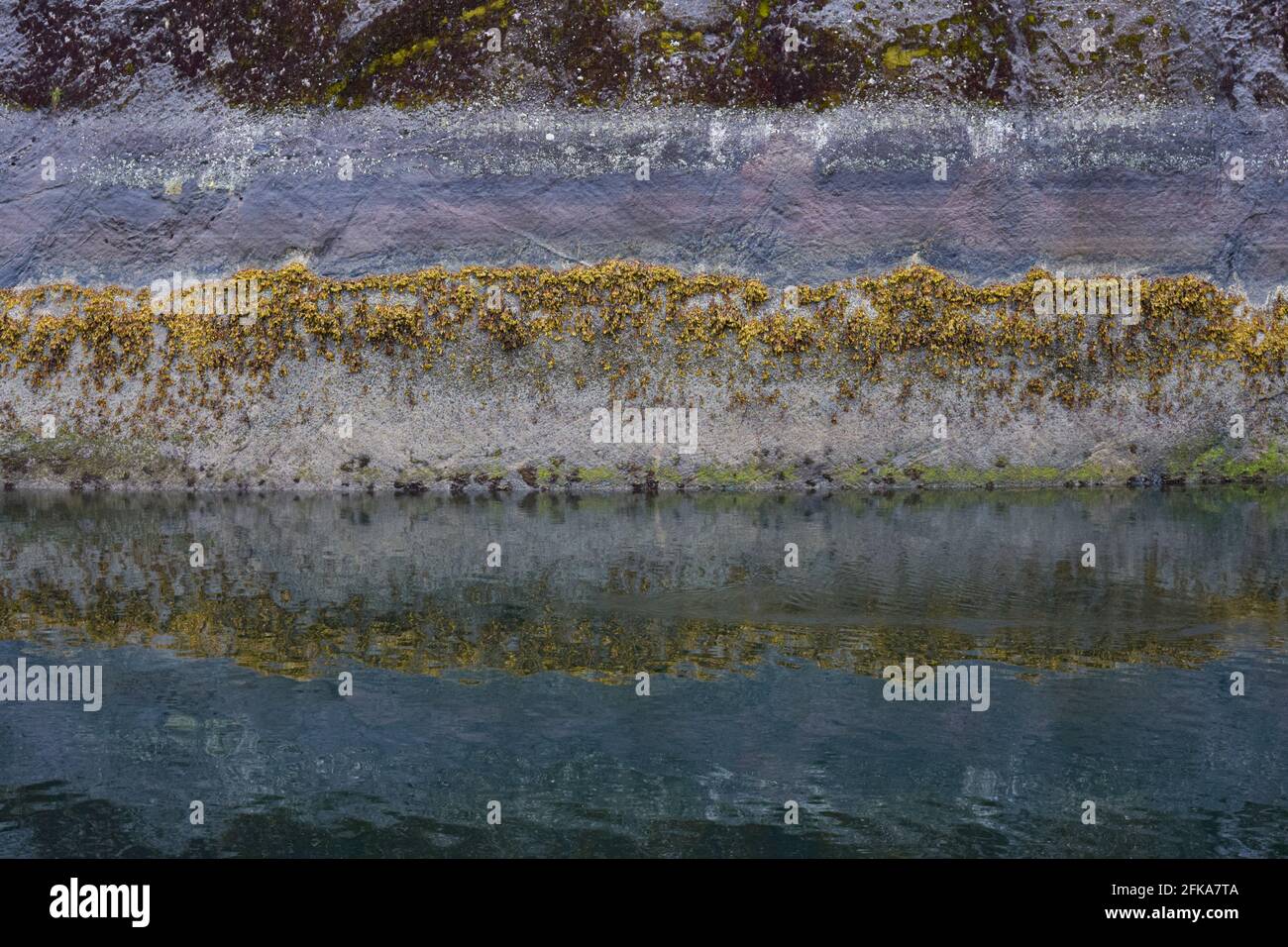 Moss and lichens growing on a rock face are reflected in water to create a rich horizontal design. Stock Photo