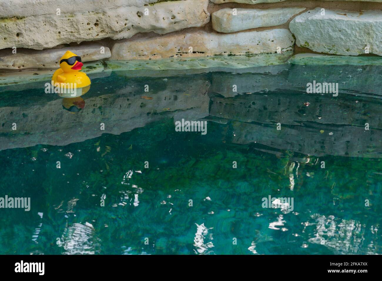 A yellow rubber duck floats at the edge of an azure swimming pool. Stock Photo