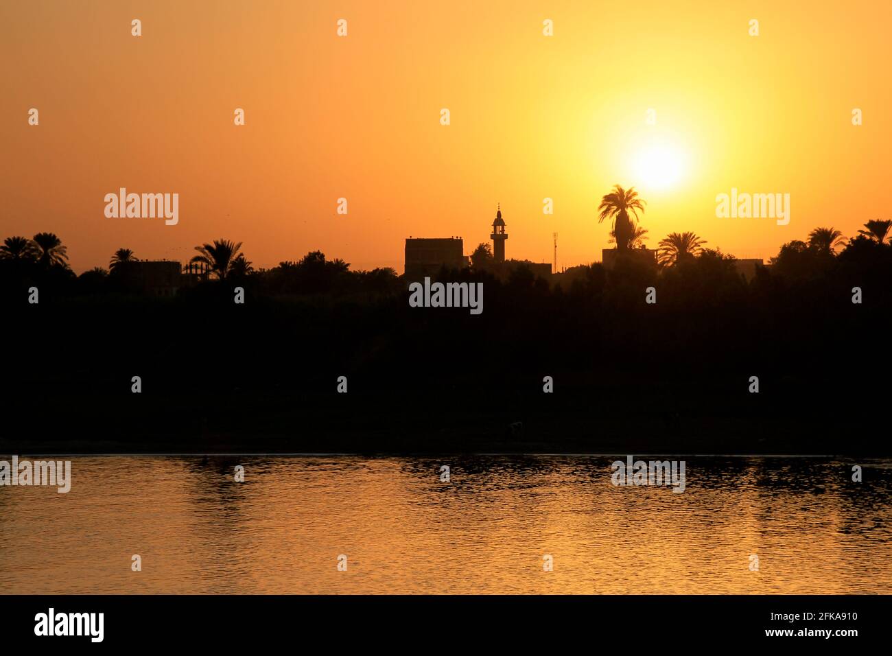 Silhouette of palm trees and buildings along Nile River against orange sunset, Egypt Stock Photo