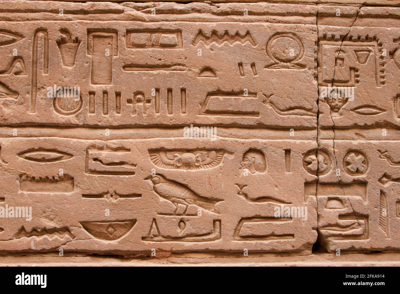 Close up of hieroglyphics at Edfu Temple, Edfu, Egypt Stock Photo