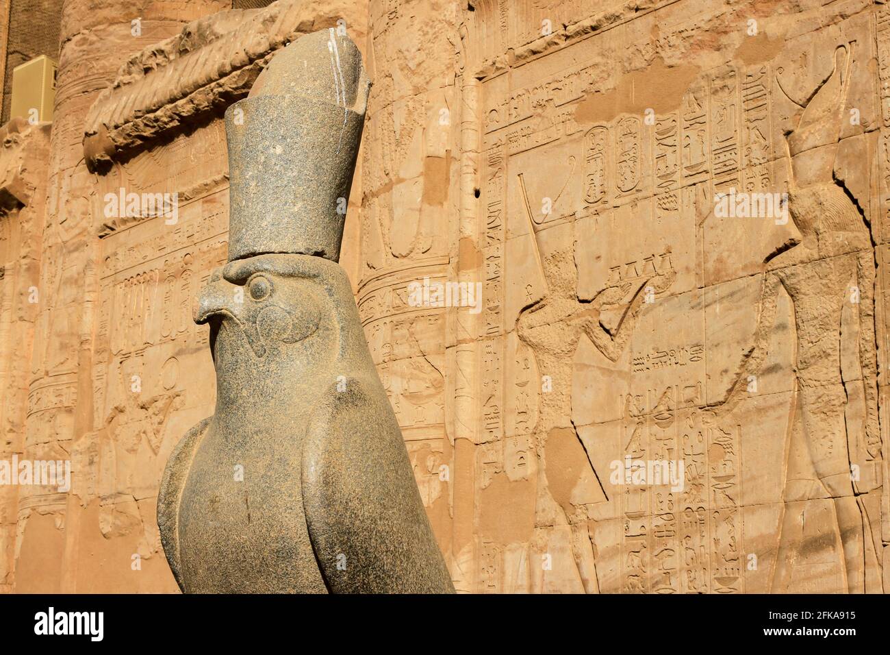 Horus statue in the courtyard of the Temple of Edfu with hieroglyphics on wall, Edfu, Egypt Stock Photo