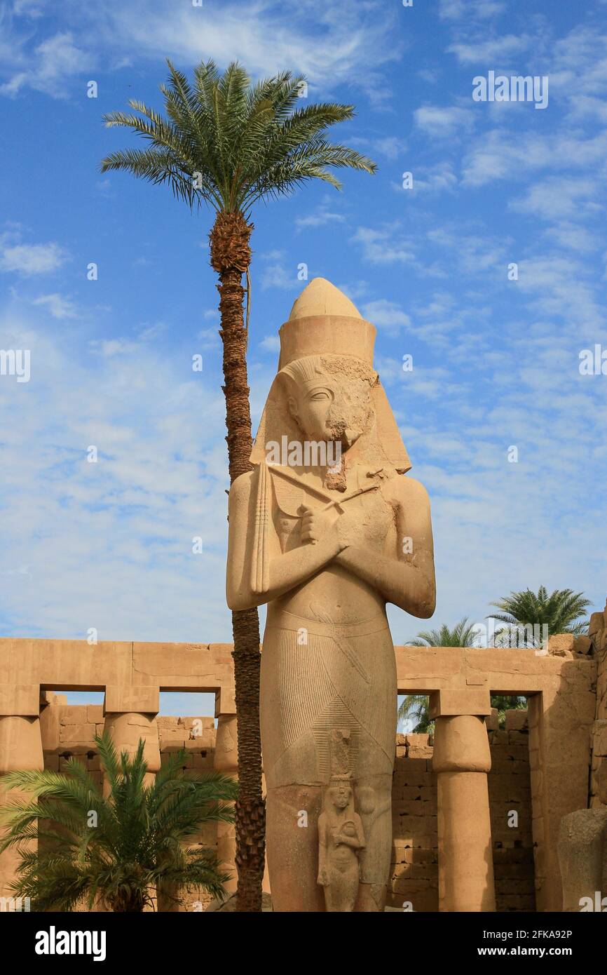 Colossal statue of Ramses II with blue sky and palm trees at Temples of Karnak, Luxor, Egypt Stock Photo