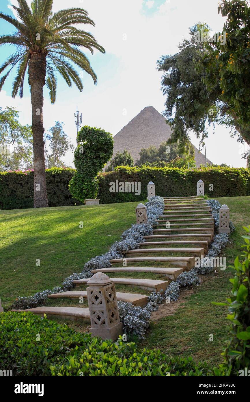 View from the gardens at the Mena House Hotel of the Great Pyramids framed by palm trees with stairs, Giza, Egypt Stock Photo