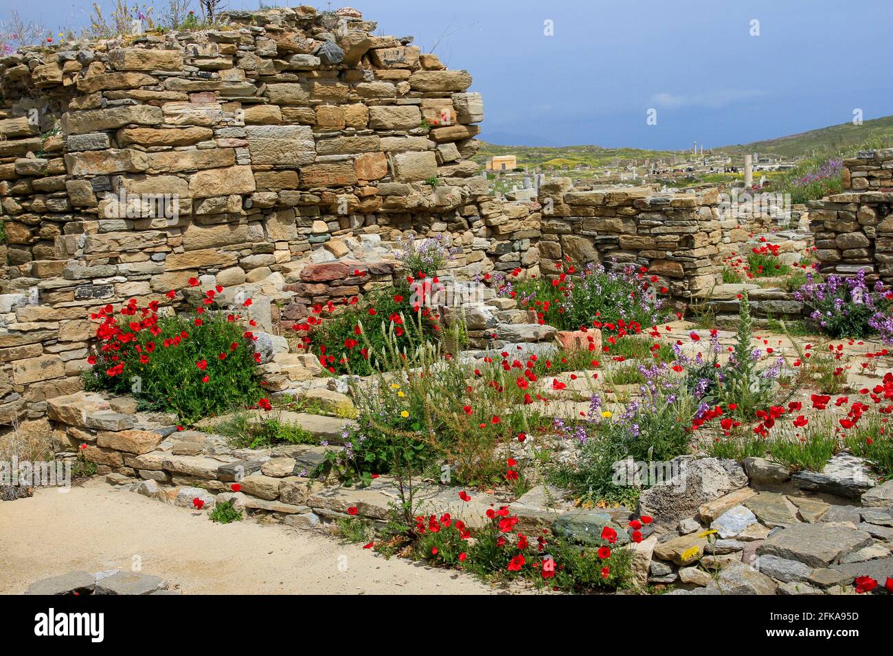 Ancient stone ruins on island of Delos with wildflowers, Cyclades Archipelago, Greece Stock Photo