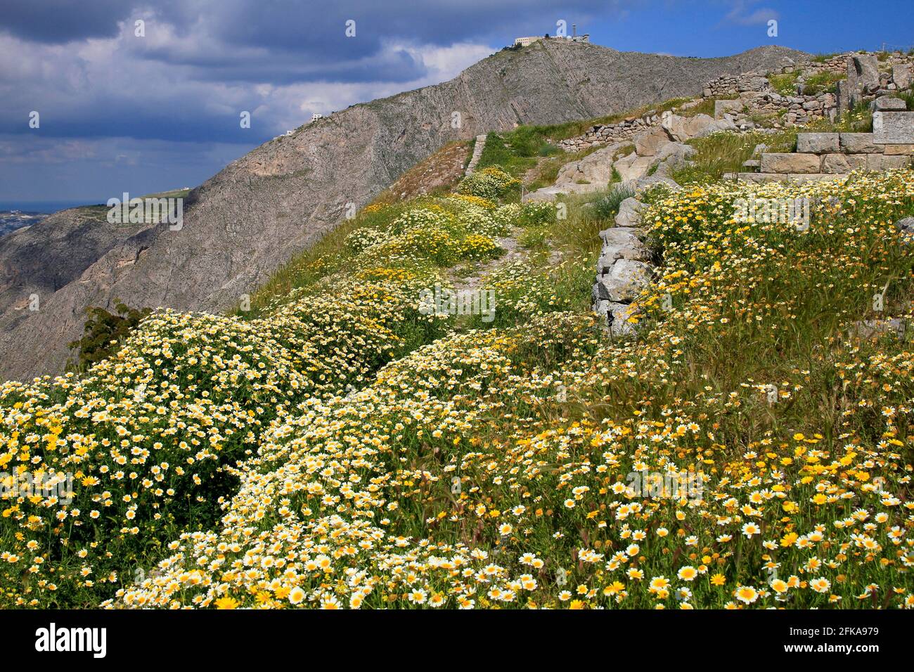 Ruins of Ancient Thera on Messavouno mountain with beautiful spring flowers, Santorini, Greece Stock Photo
