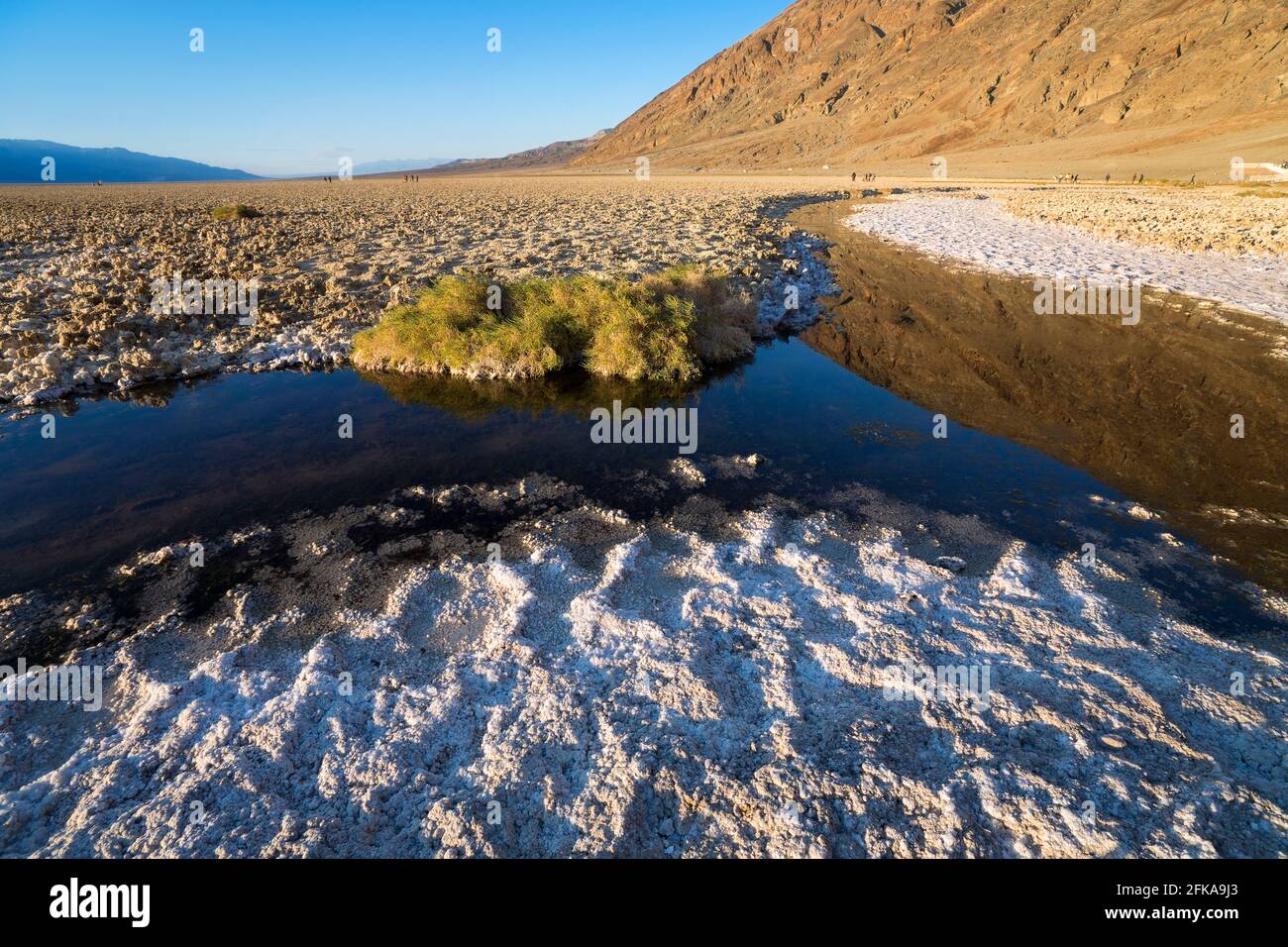 Chalky feet hires stock photography and images Alamy