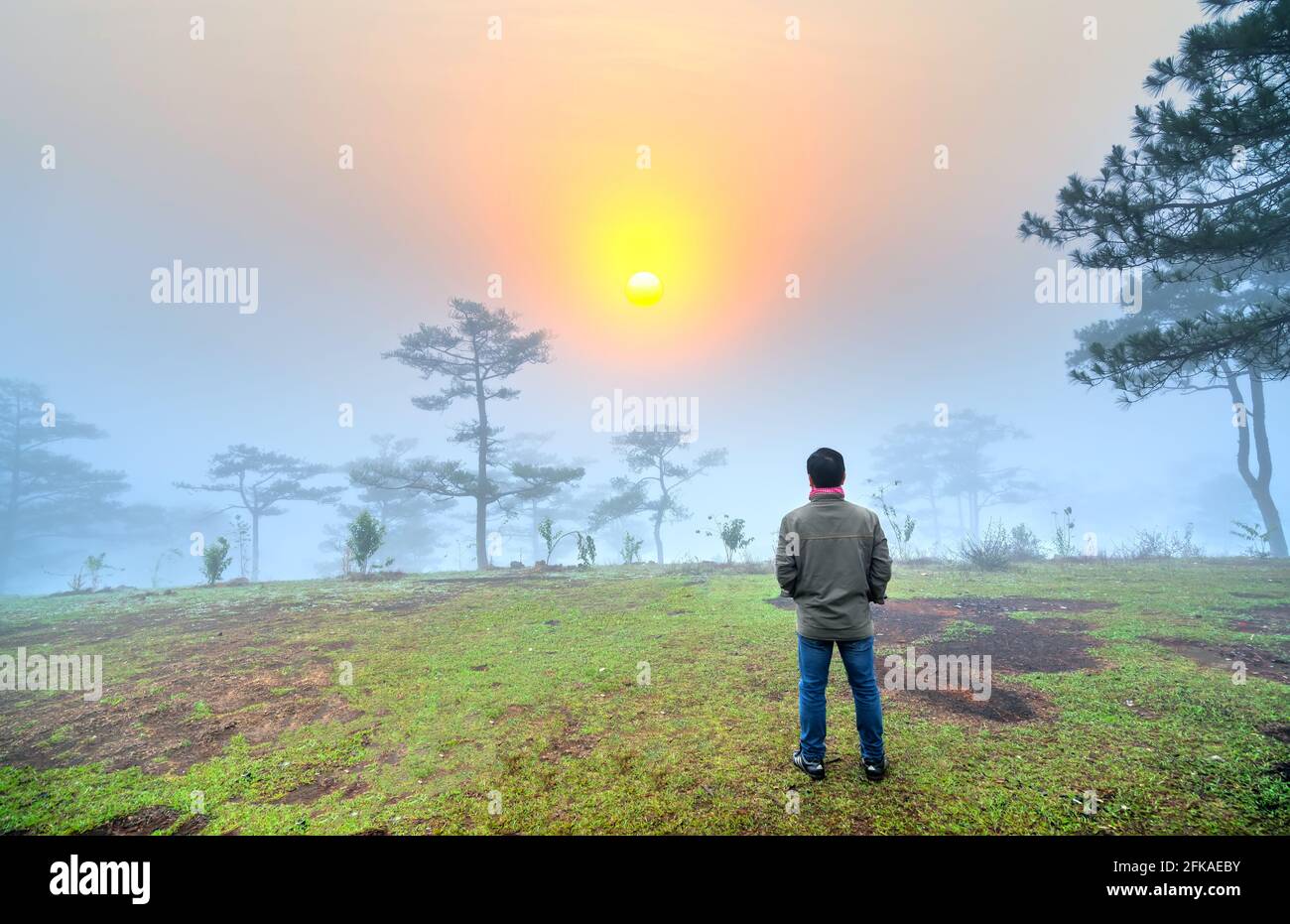 Traveler man stands watching the dawn on a misty morning pine hill on the top of the highlands of Da Lat, Vietnam Stock Photo
