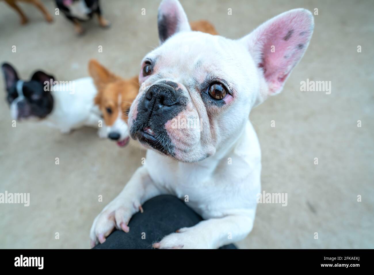 Saggy body hires stock photography and images Alamy