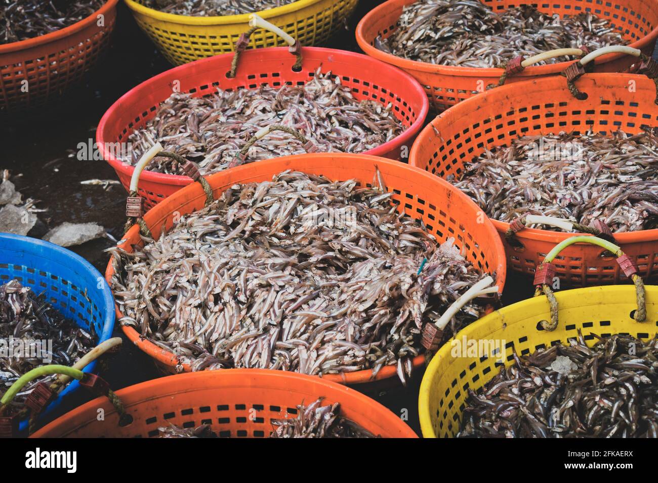 Collection of Anchoviella lepidentostole fish in various fish containers for sale in the market. Stock Photo