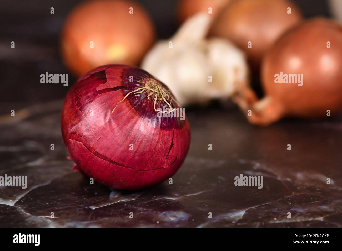 Whole 'Allium Cepa' red onion with purplish-red skin and root Stock Photo