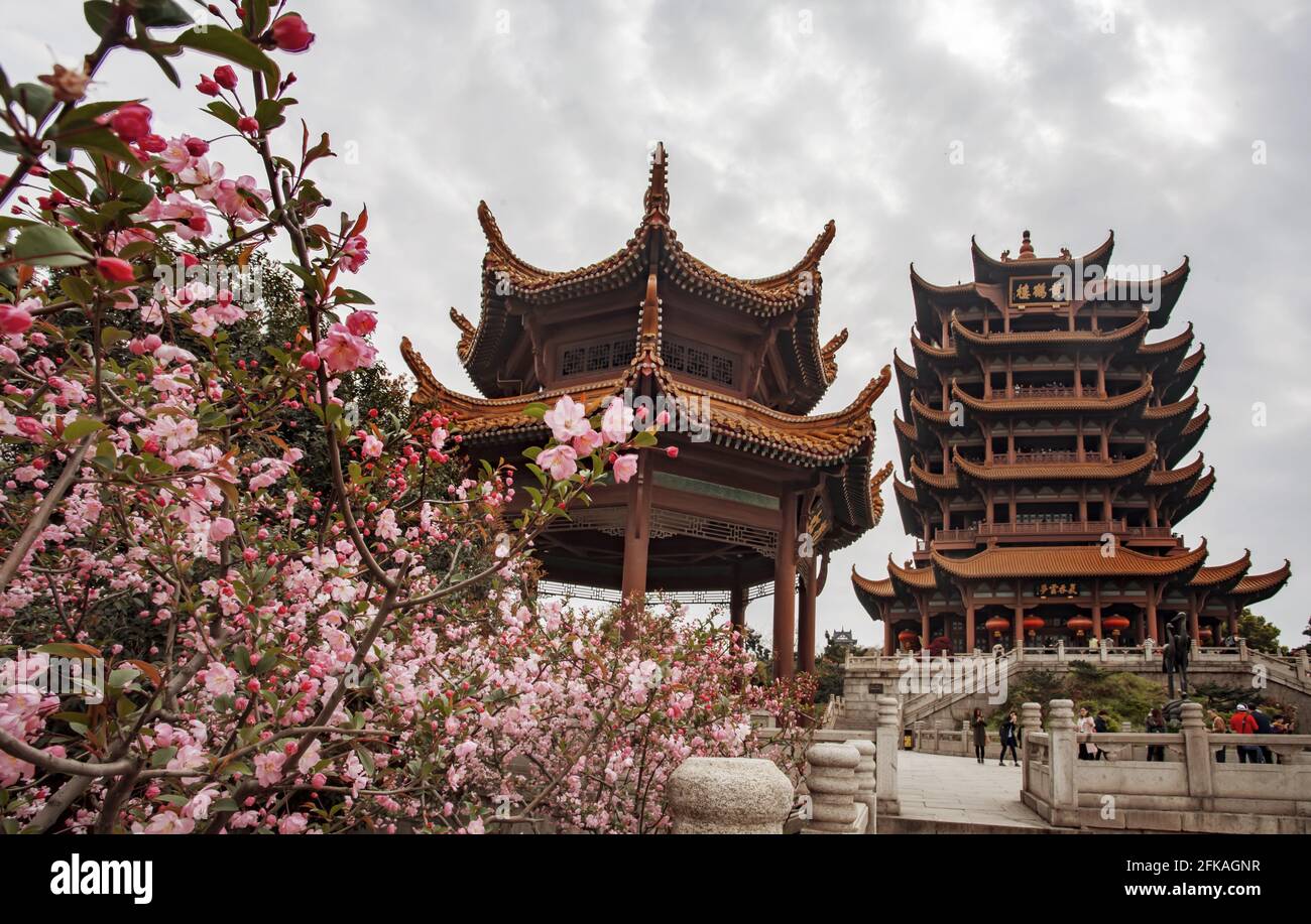 wange yellow crane tower