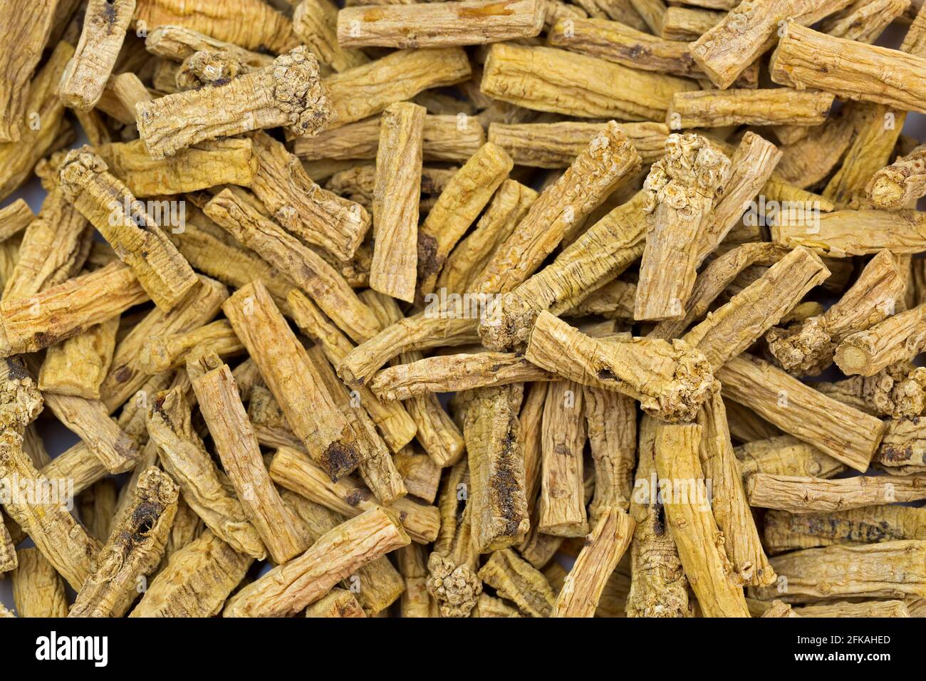 Closeup of dried Dang shen root also called tan shen, danshen, poor man's ginseng (Codonopsis pilosula, Radix) Stock Photo