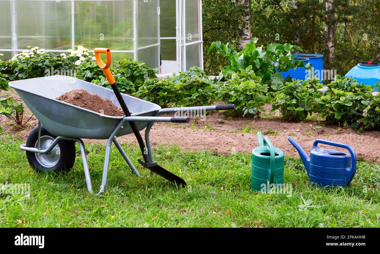 Gardening landscape. Wheelbarrow, garden tools, greenhouse in the garden. Stock Photo