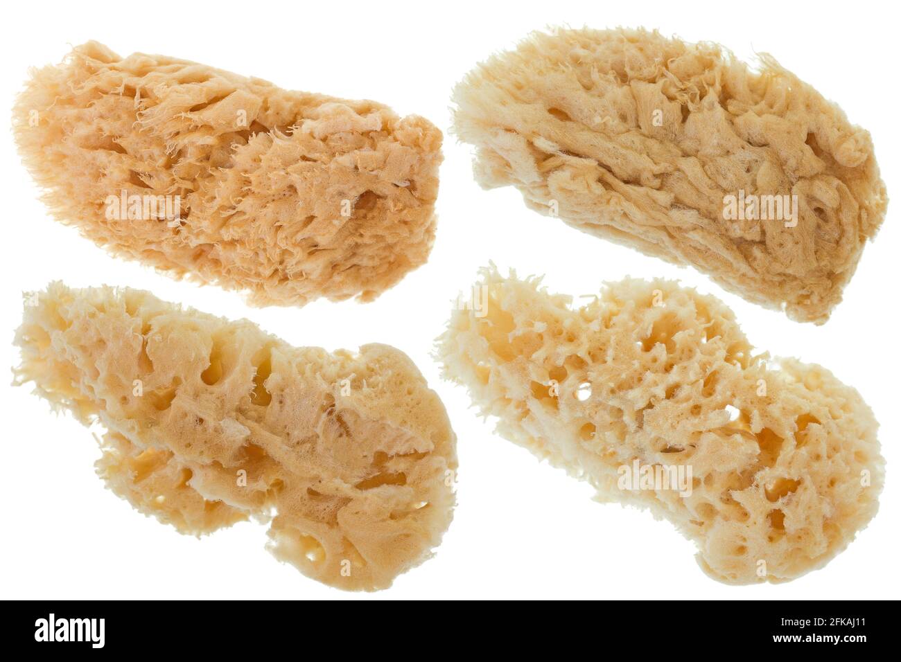 Group of soft natural Sea Sponge in beige color isolated on white background used as facial cleaning tool or at spa treatment Stock Photo