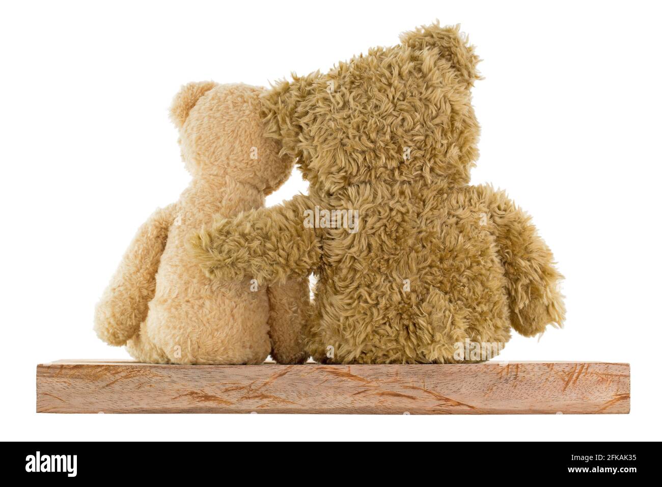 Teddy bear big one deals