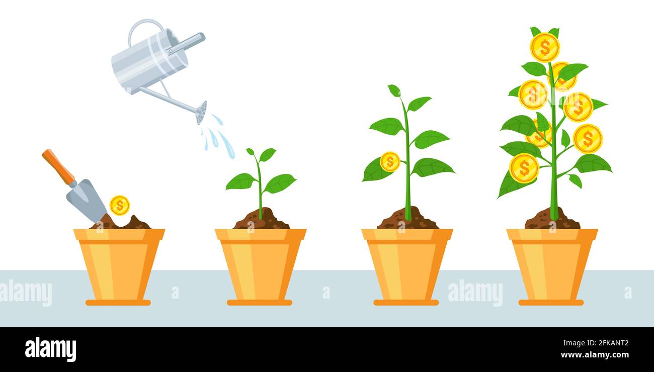 Money tree in pot. Finance profit growth infographic with stages of plant grow coins. Economy business investment or revenue vector concept Stock Vector