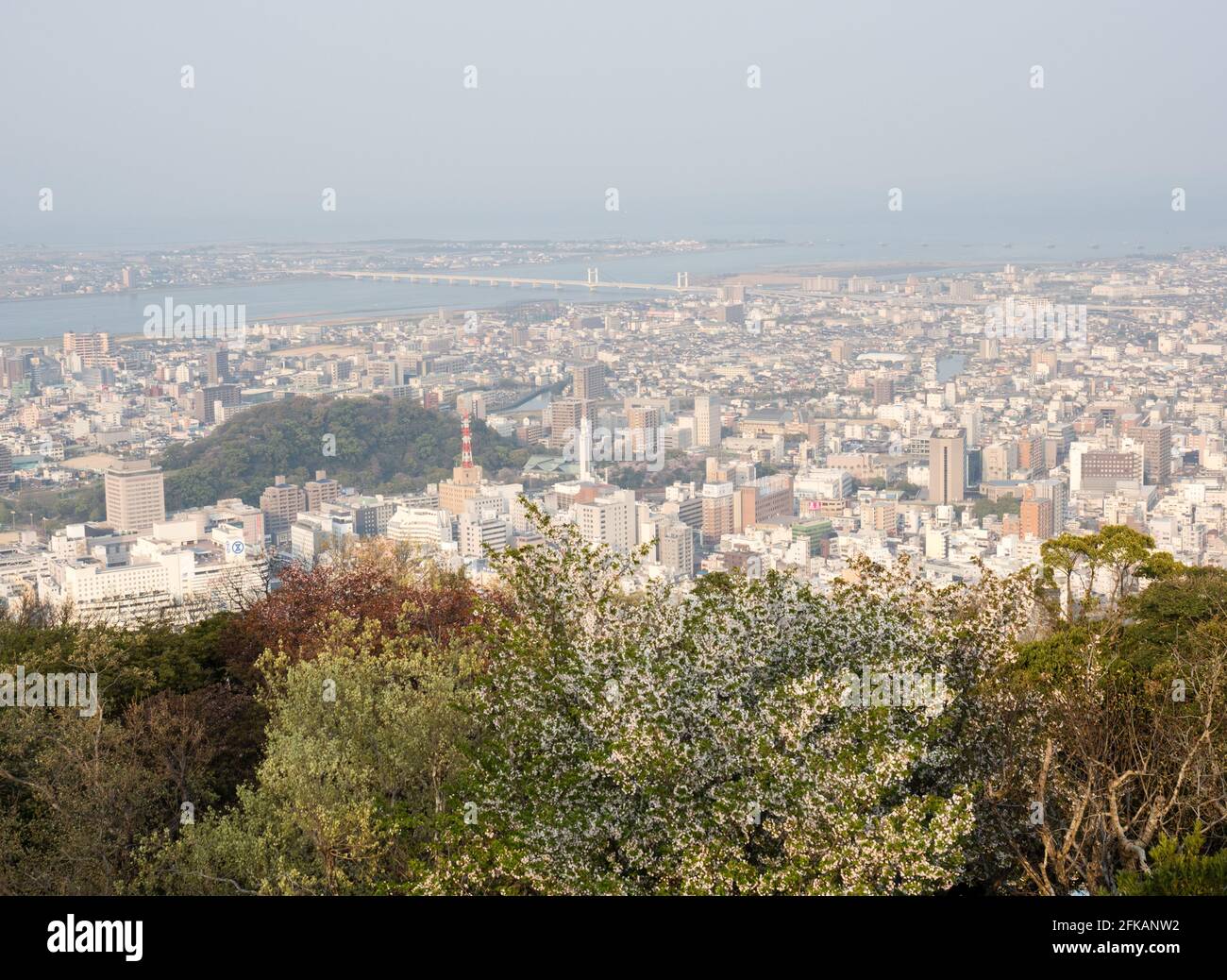 Tokushima, Japan - April 4, 2018: Panoramic view of Tokushima city from the top of Mount Bizan at sunset with cherry trees blooming Stock Photo