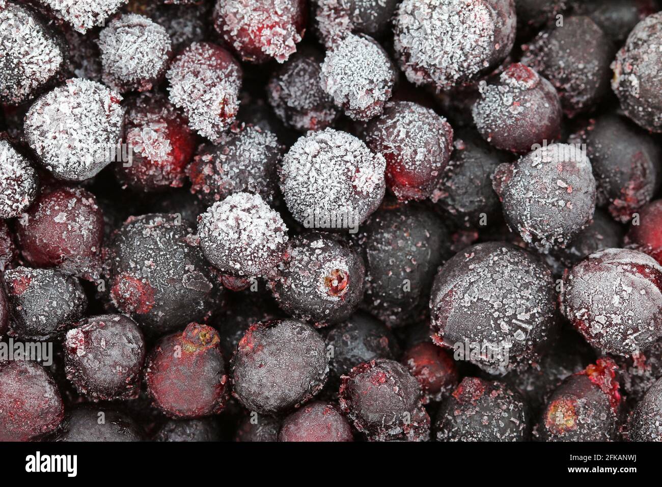 Closeup photo of Frozen Cranberry Stock Photo Alamy