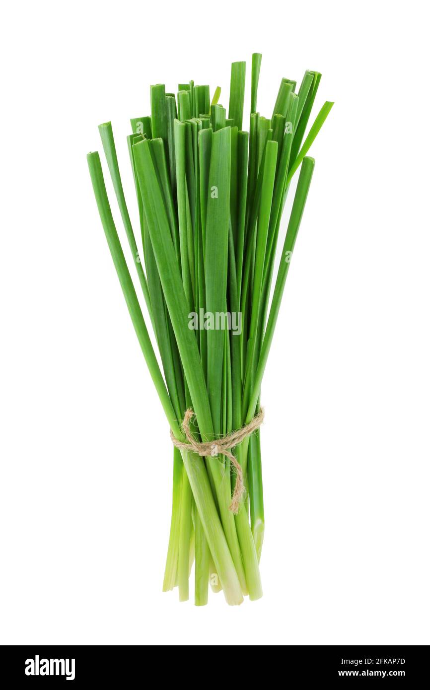 Bunch of chives on white background Stock Photo - Alamy