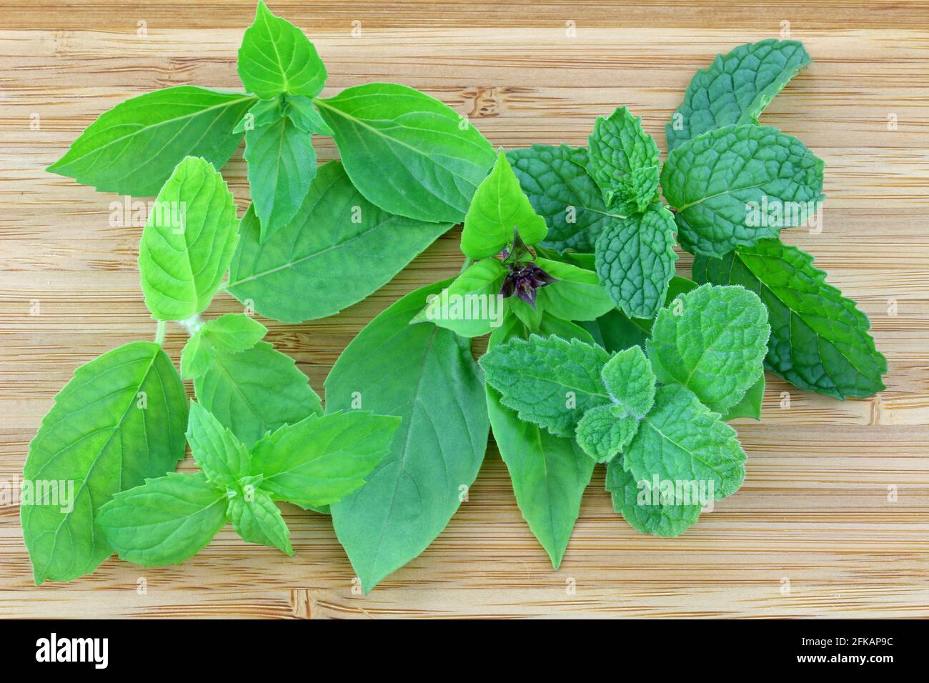 Lemon scented mint hires stock photography and images Alamy