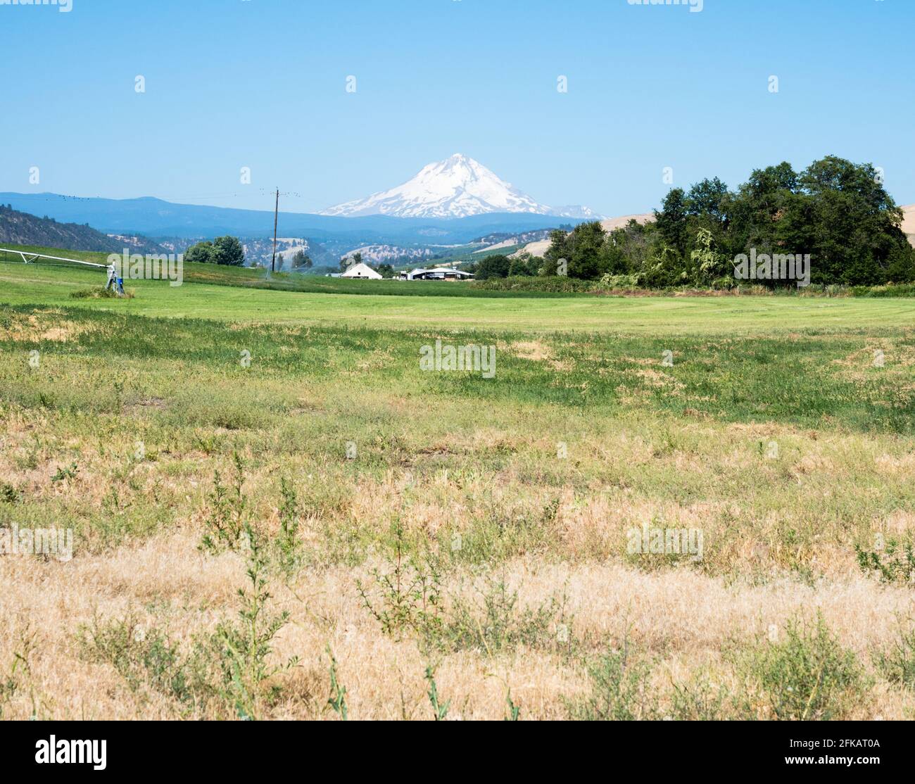 Dufur hires stock photography and images Alamy