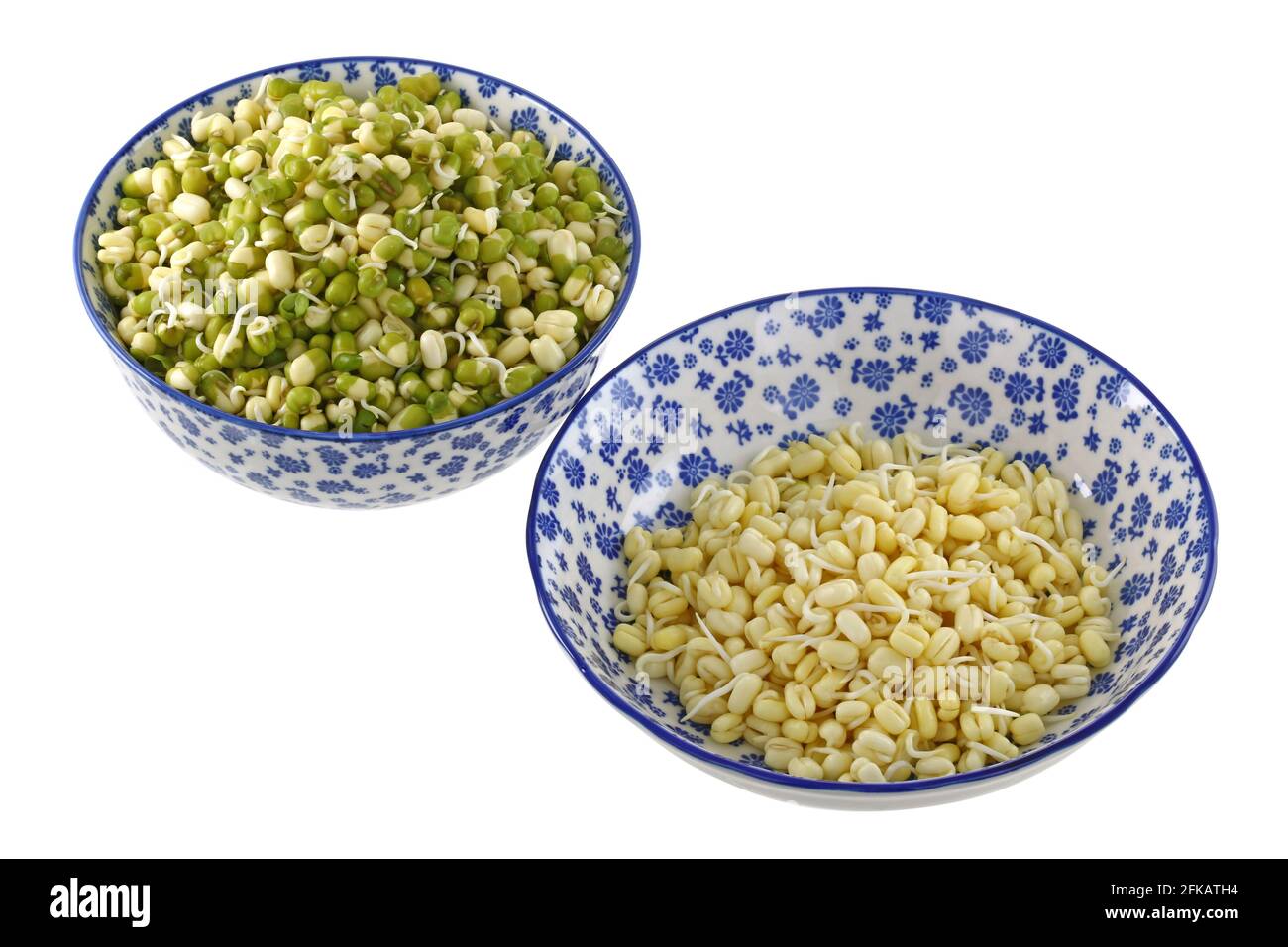 Bowls of Mung Bean Green gram Sprouts with and without green skins Stock Photo