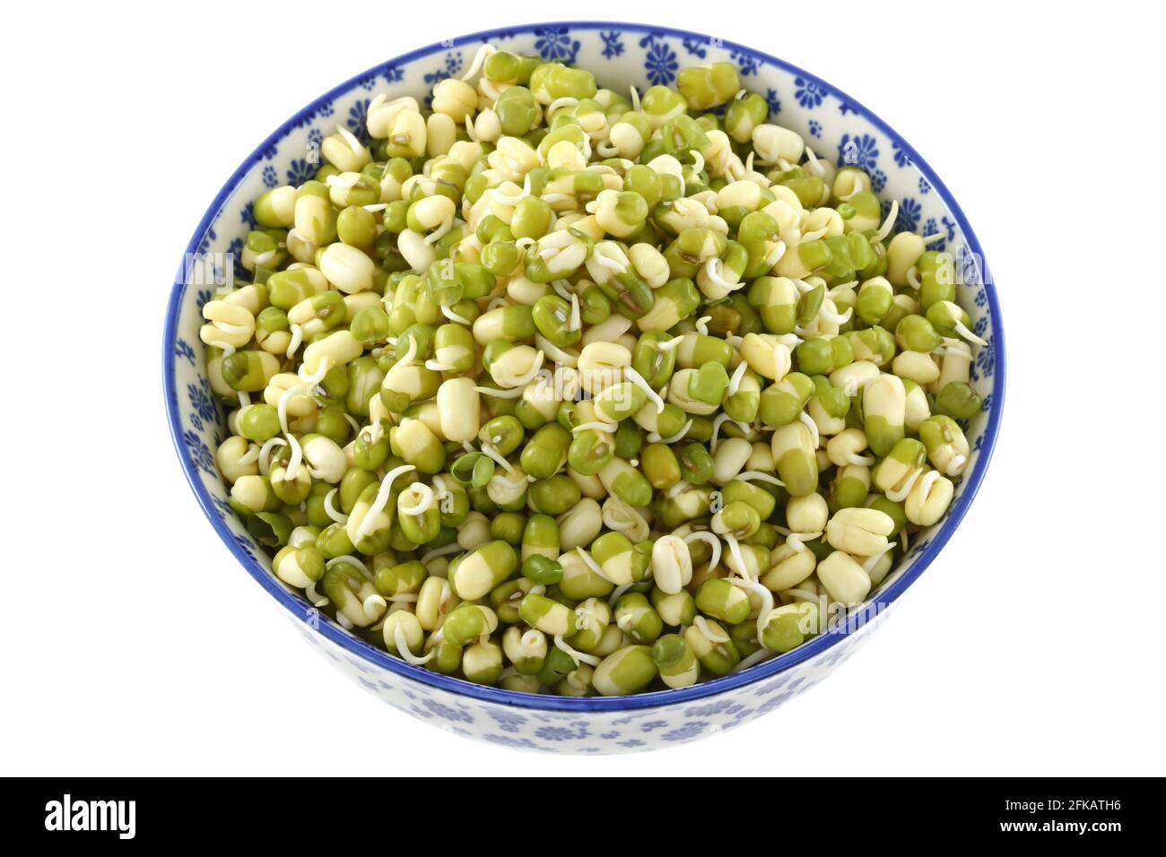 Soaked Mung Bean Green gram sprouts with green skins Stock Photo