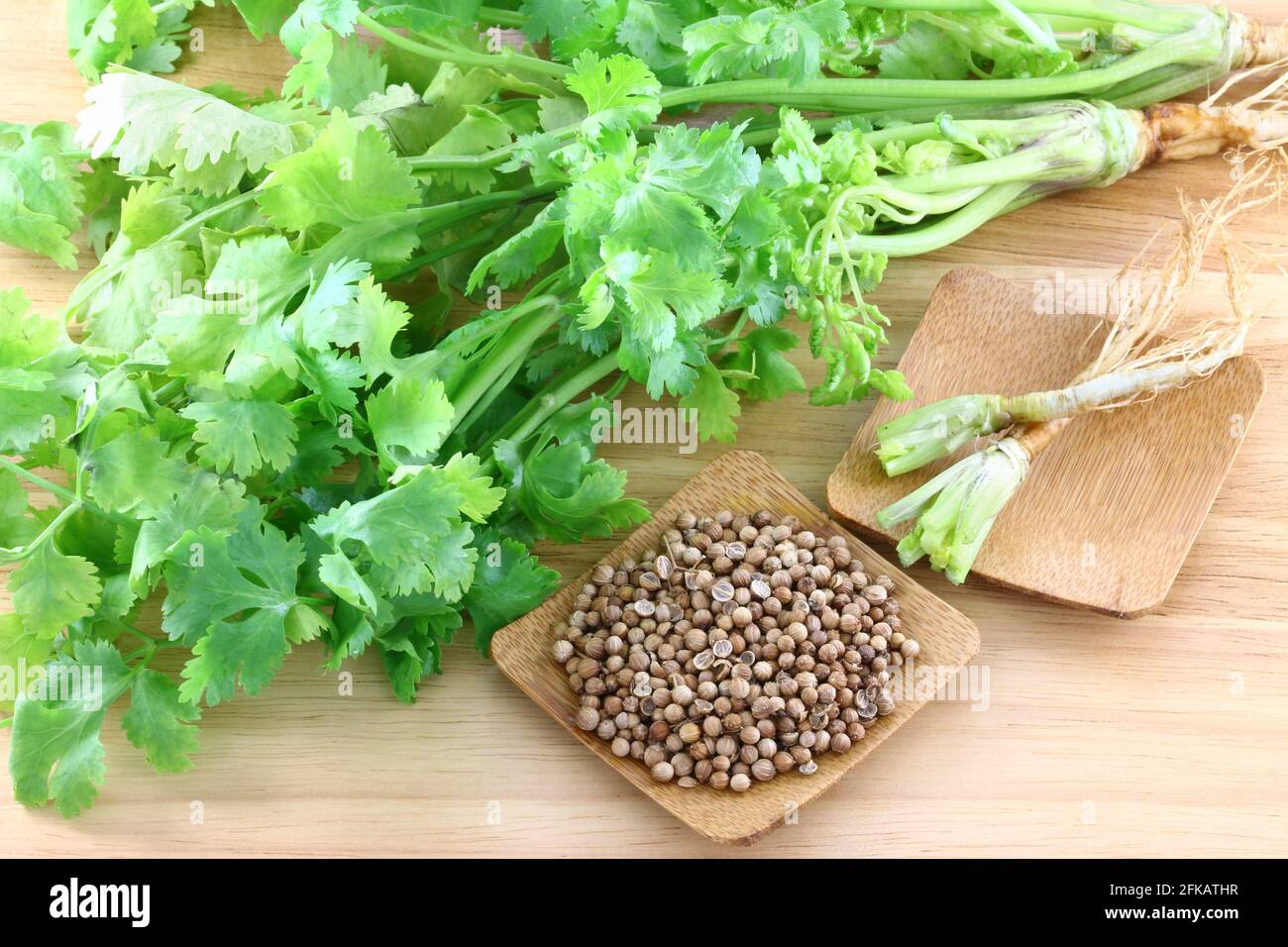 Chinese herbal medicine coriander hires stock photography and images