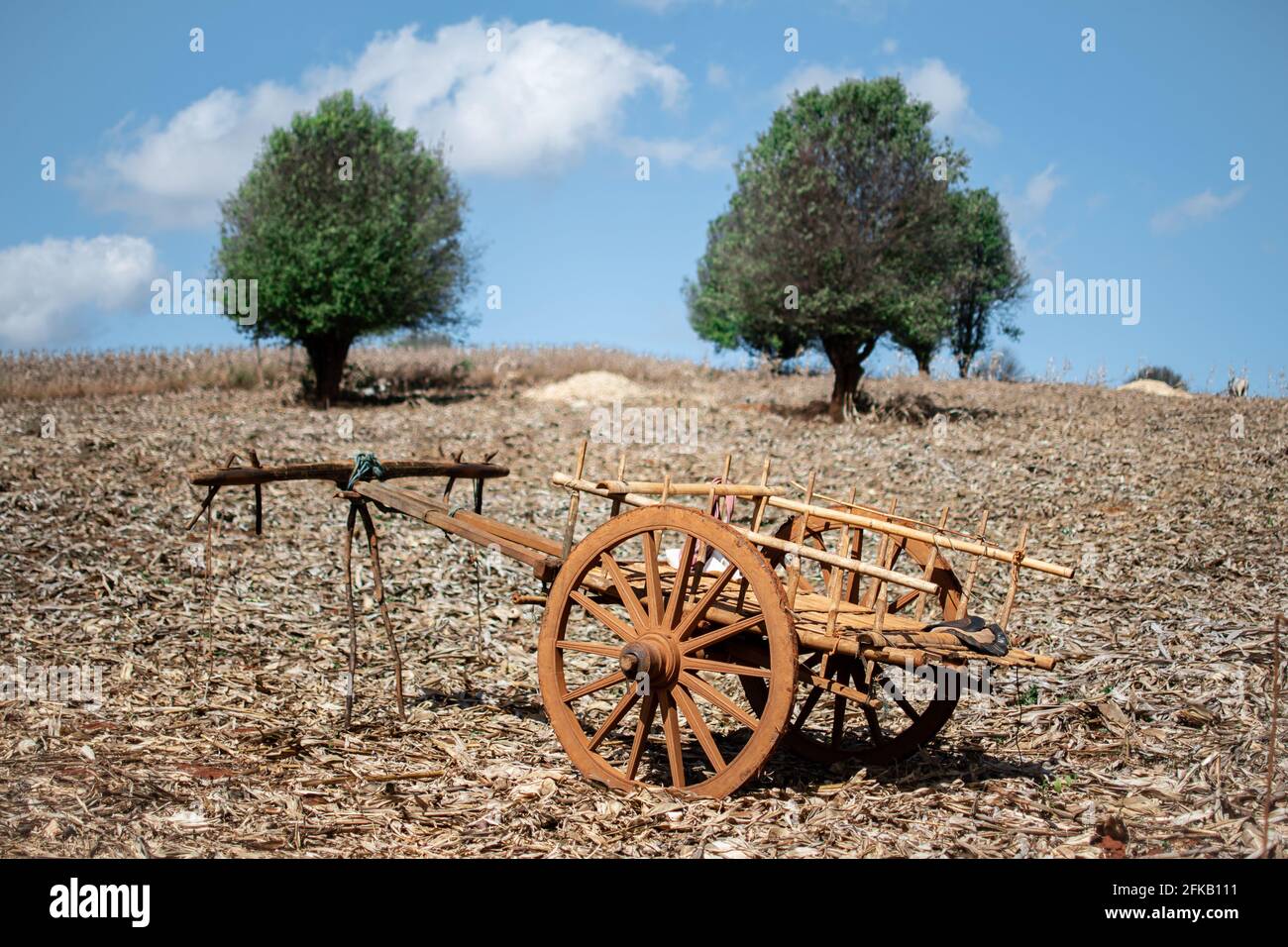 A beautiful old wooden wagon with two wheels on a rural farm field between Kalaw and Inle Lake, shan state, Myanmar Stock Photo