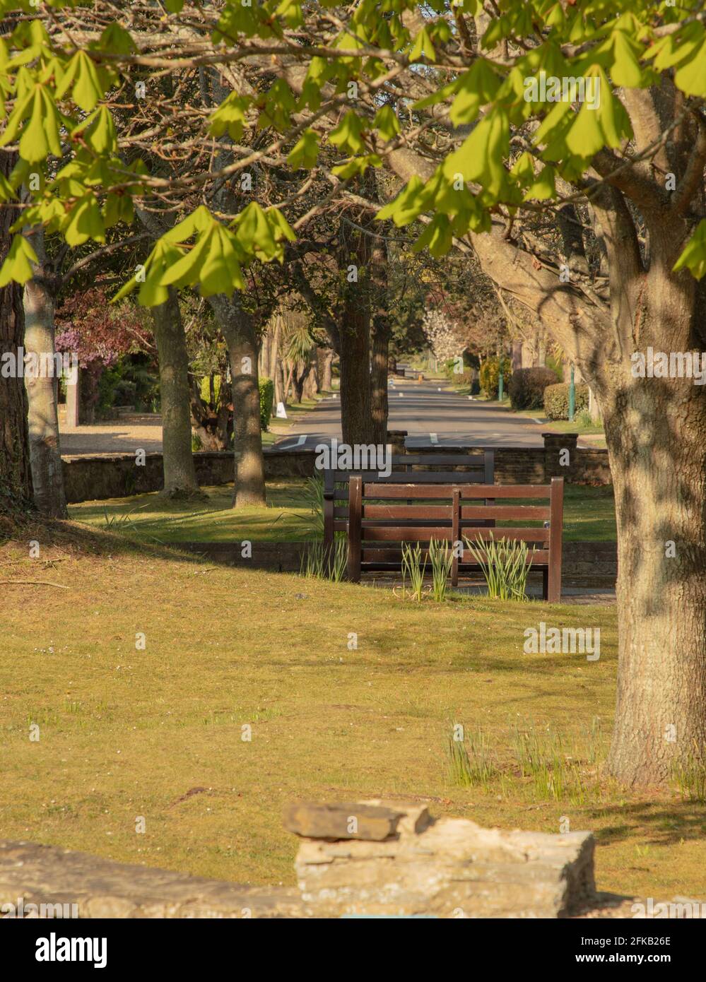 Wooden benches in a garden, England, UK Stock Photo - Alamy
