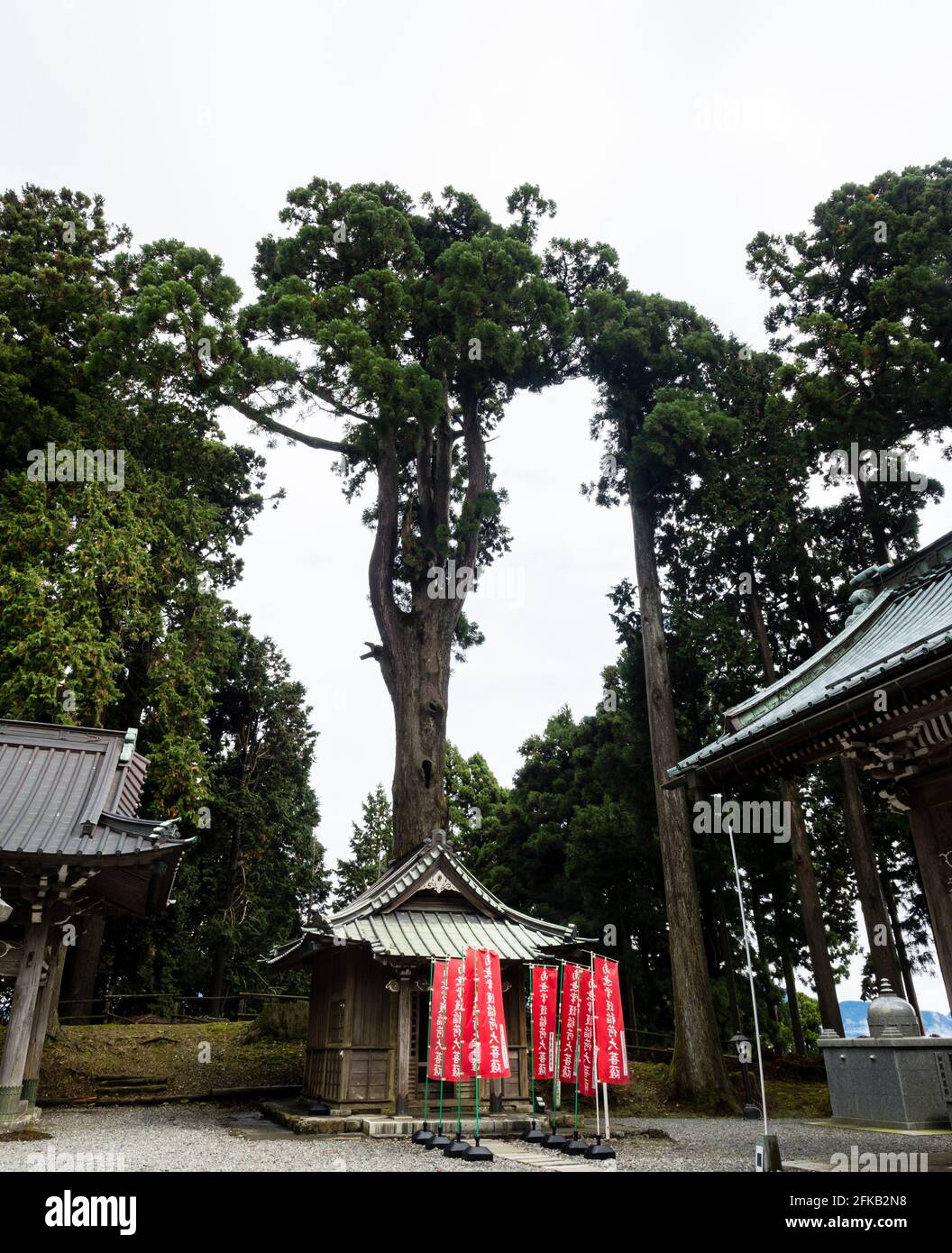 Minobu, Japan - October 19, 2017: Old growth trees at Okunoin ...