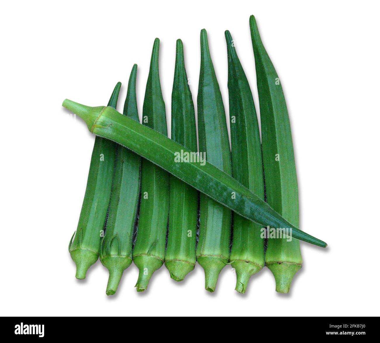 Okra plant hires stock photography and images Alamy