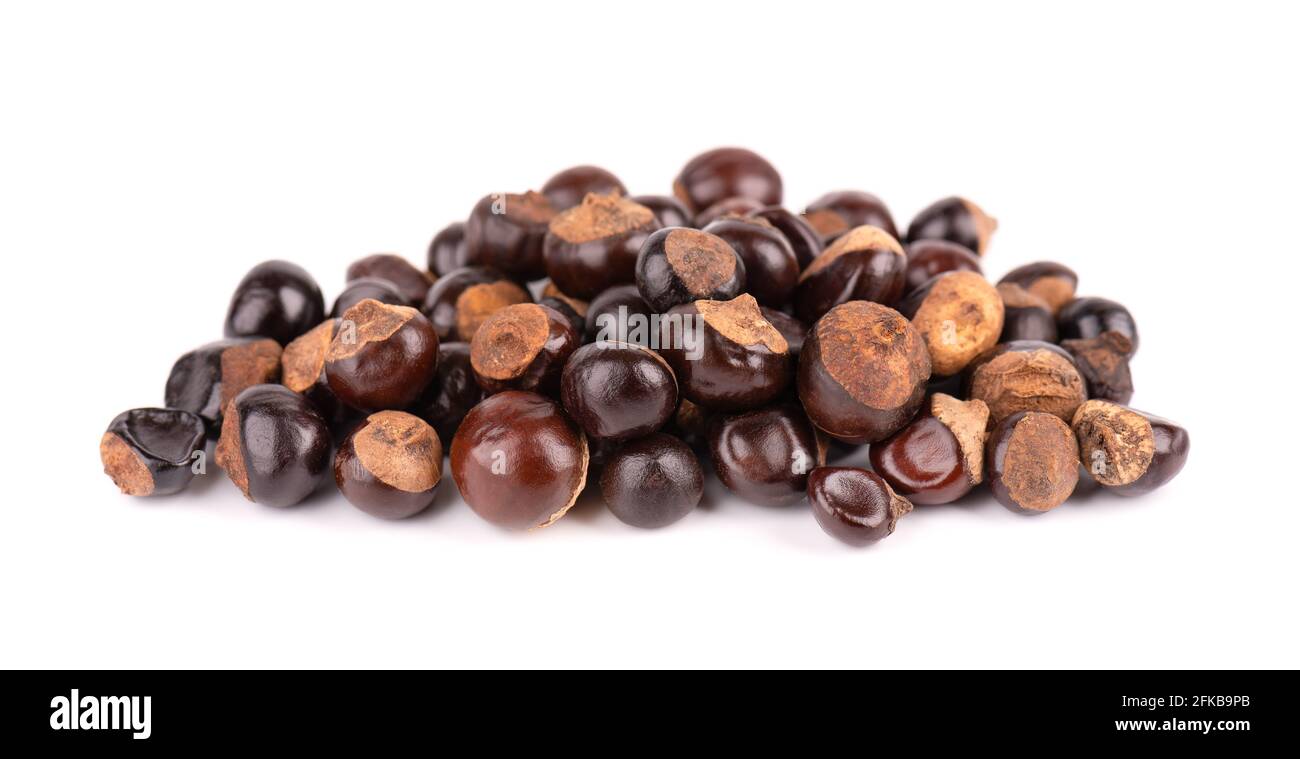 Guarana Dried Whole Seeds 25g-200g - Paullinia Cupana, Natural Energy Boost, Brazil