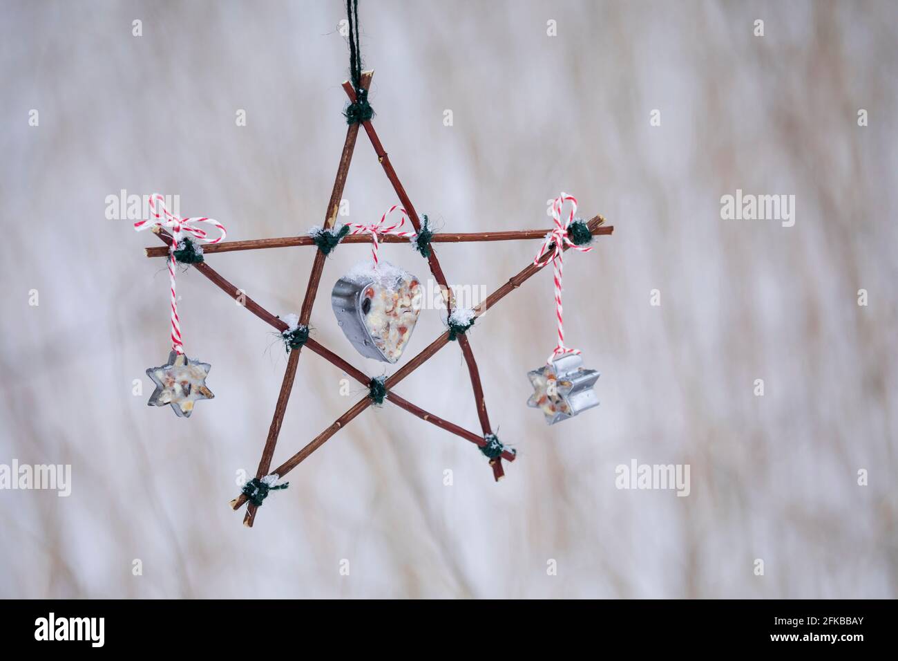 star made from branches and homemade birdseed, fat feed mixture is filled in cookie cutters, Germany Stock Photo