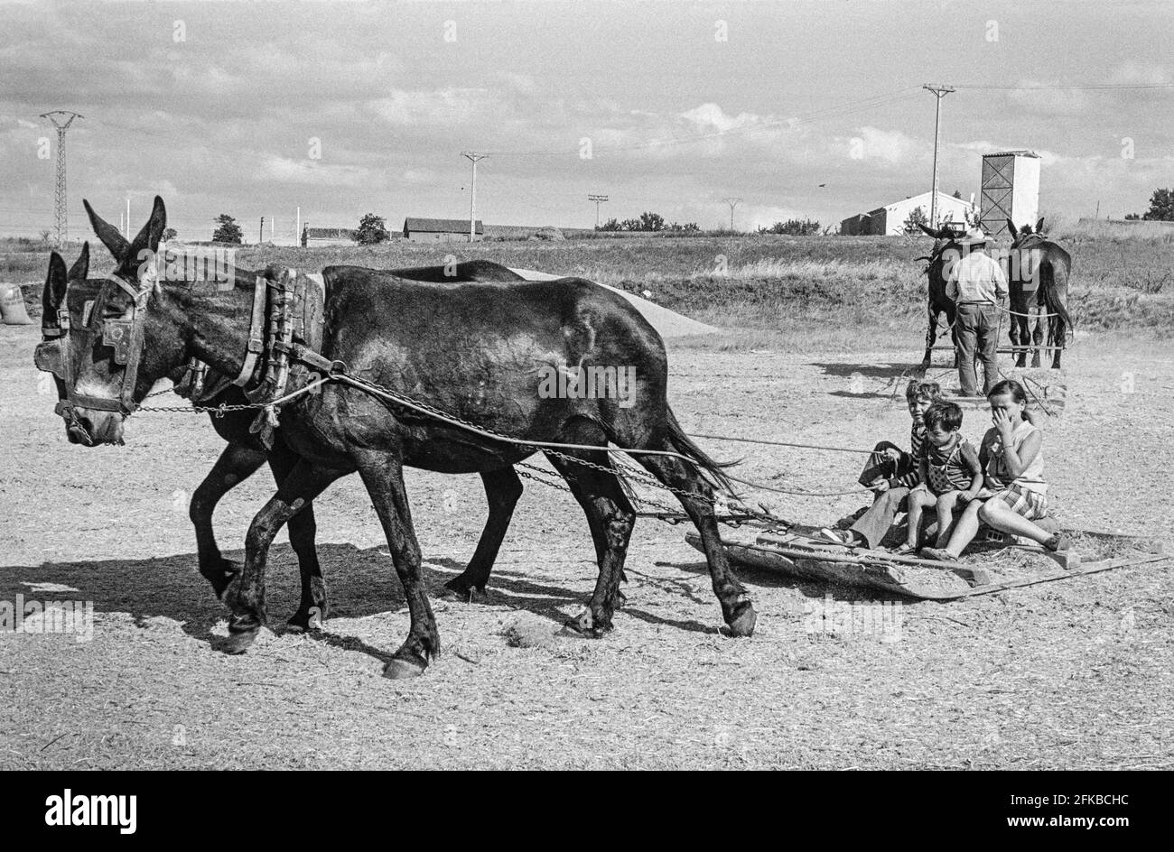 Spanish threshing sledge Black and White Stock Photos & Images Alamy