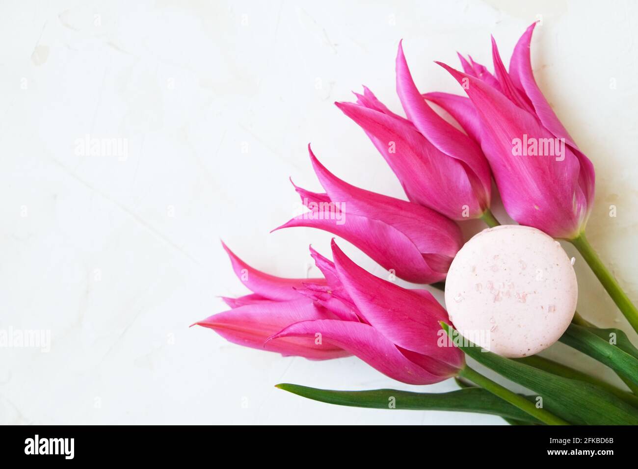 Beautiful feminine composition w/ pastel colors French macaroon sweets & purple tulip flower blossoms on white stucco background. 8 march women's day, Stock Photo