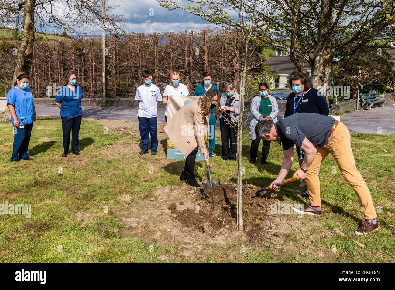 Bantry, West Cork, Ireland. 30th Apr, 2021. Holly Cairns TD planted a birch and oak tree at Bantry General Hospital today as part of the 'Nurse a Tree' initiative. Nurse a Tree plans to plant a tree for every healthcare worker in Ireland, which amounts to 80,000, as a living legacy. Assisting Holly with the planting of an oak tree is Maurice Ryan, Director of Green Belt LTD with Bantry Hospital Nurses watching on. Credit: AG News/Alamy Live News Stock Photo