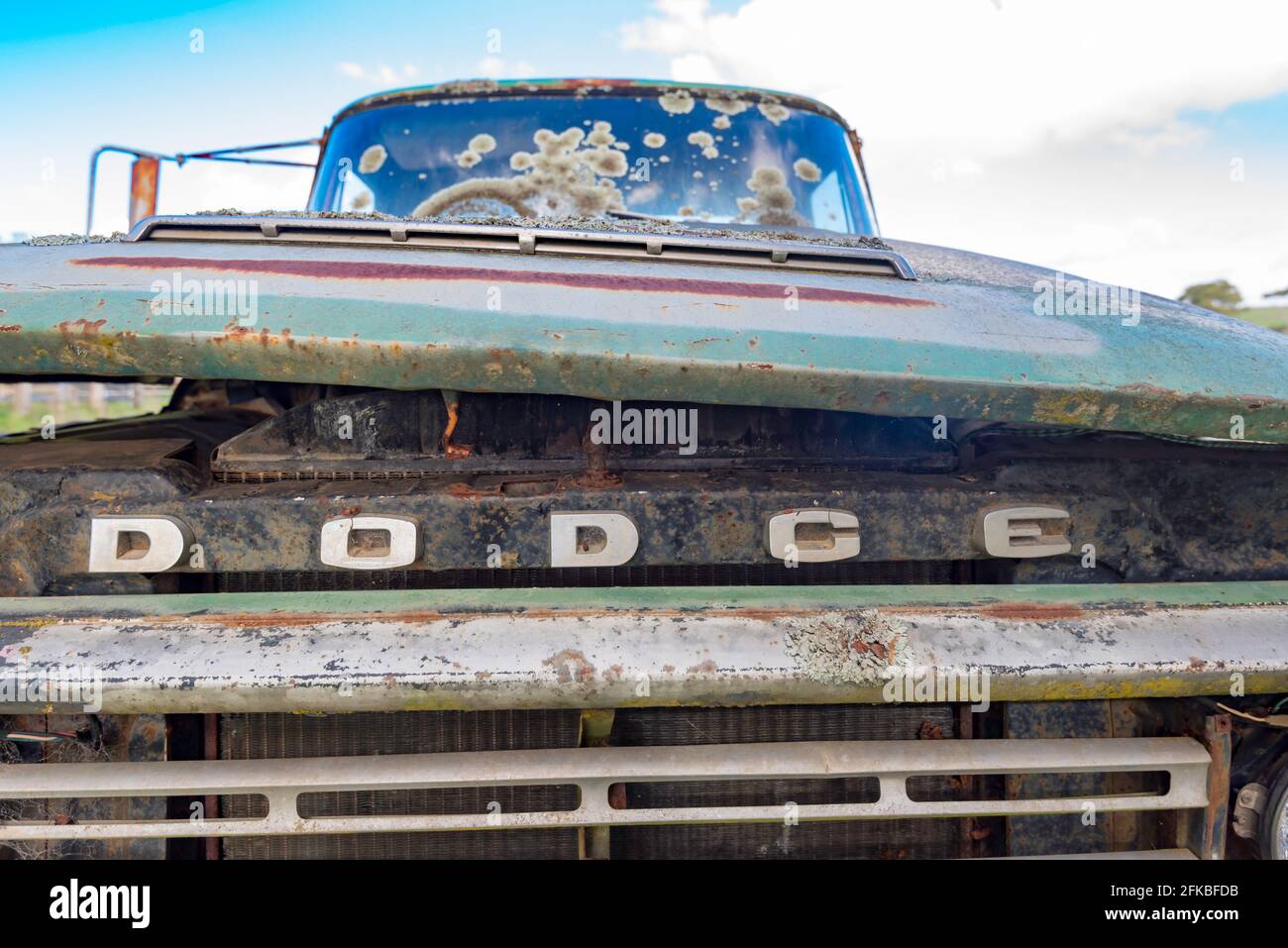 A front-on closeup of an ageing and rusted Dodge truck that has been out in the weather for many years in Australia Stock Photo