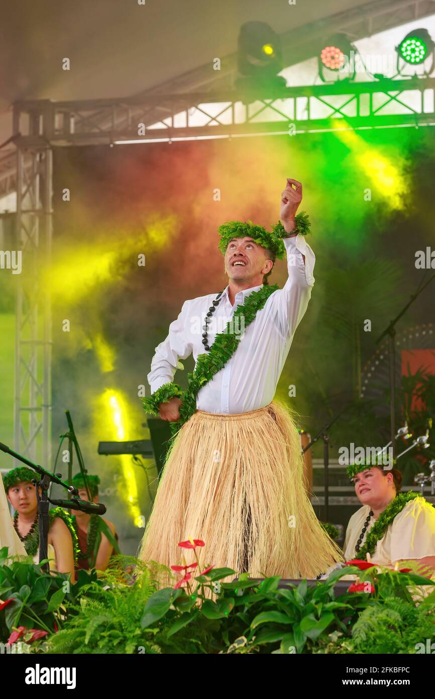 A male Hawaiian dancer wearing a grass skirt performs on stage at Pasifika Festival, a celebration of Pacific Island culture. Auckland, New Zealand Stock Photo